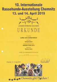 2019 10.Internationale- Rassehund- Ausstellung Chemnitz (Lotta) (1)