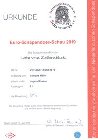 2019 Euro-Schapendoes-Schau Alsfeld (Lotta) (1)